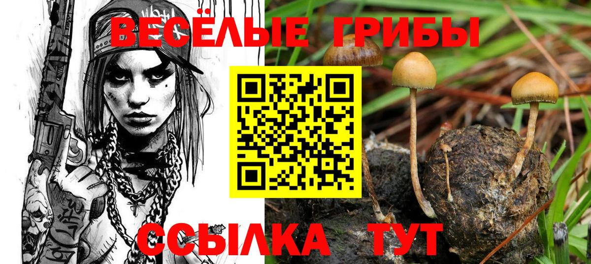 Галлюциногенные грибы Magic Shrooms  Вход с VPN  Галлюциногенные грибы Magic Shrooms  продажа наркотиков  Саров 
