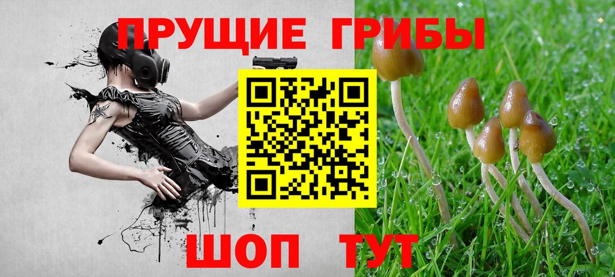 Псилоцибиновые грибы мухоморы Саров